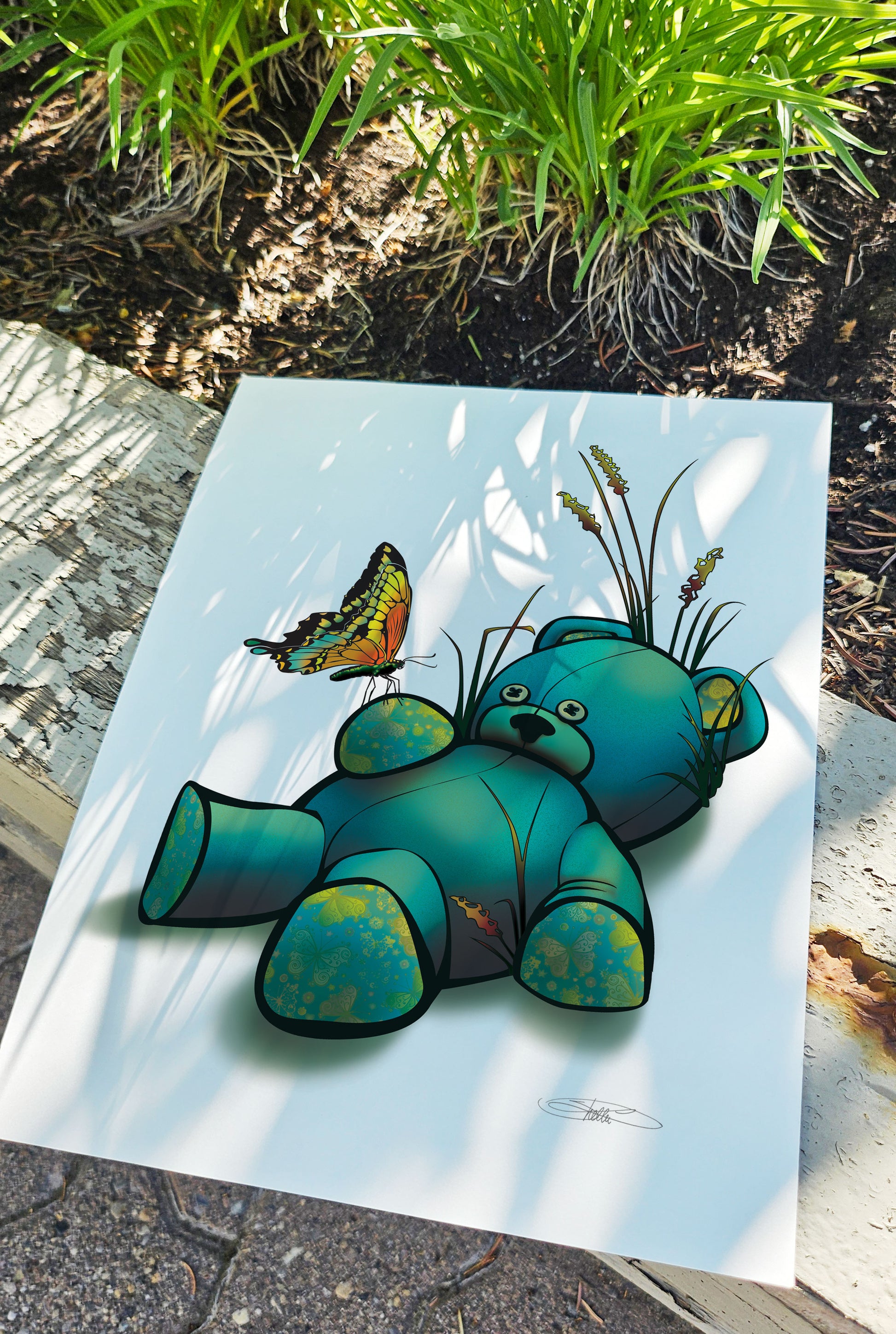 Bear Butterfly