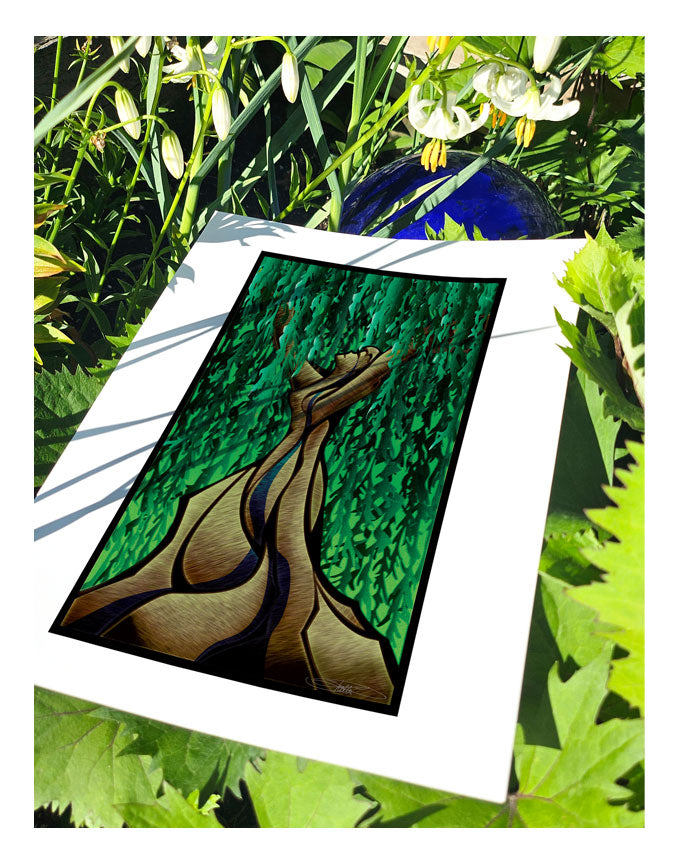 Weeping Willow
